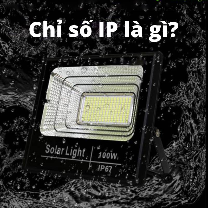 chỉ số IP